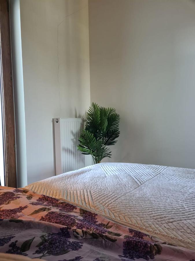 פוזנן Venice Villa Apartment, Self Check-In 24H, Free Parking מראה חיצוני תמונה